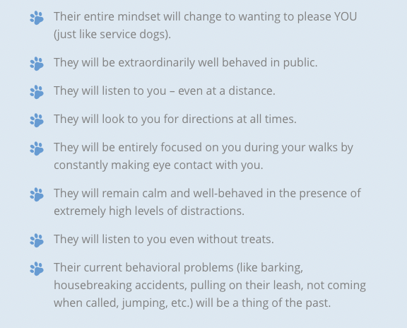 02-total-transformation-masterclass-review-by-k9-training-institute..png
